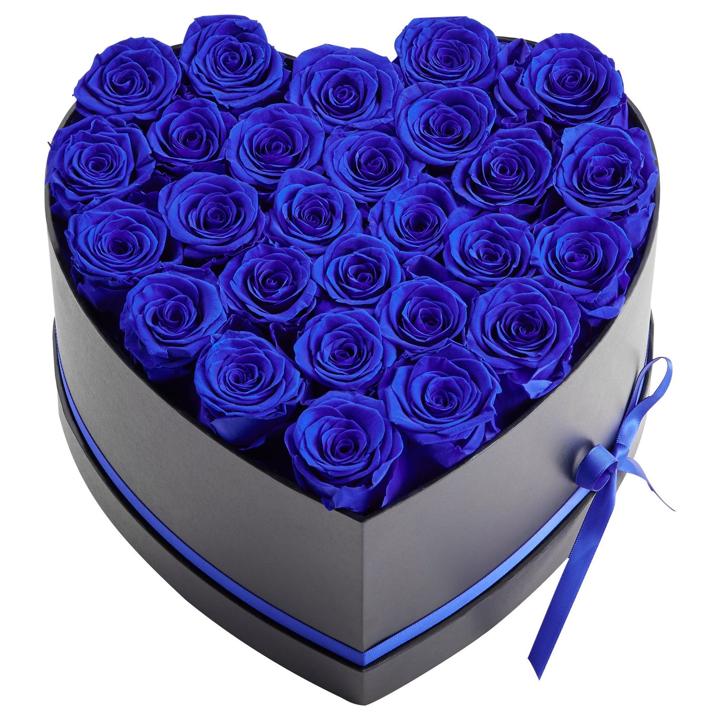 6b85a99e03a4fd21a14cf8d8edd8204f
